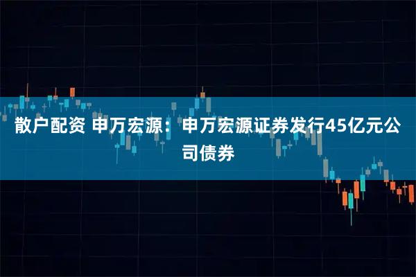 散户配资 申万宏源：申万宏源证券发行45亿元公司债券