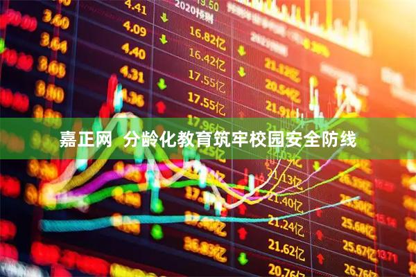 嘉正网  分龄化教育筑牢校园安全防线