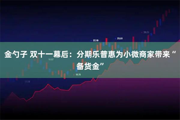 金勺子 双十一幕后：分期乐普惠为小微商家带来“备货金”